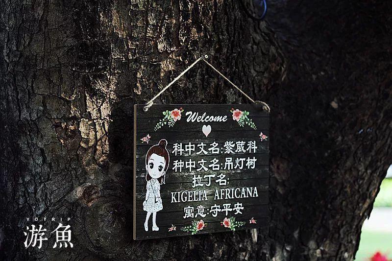 茶文化分享之茶联茶诗(10)